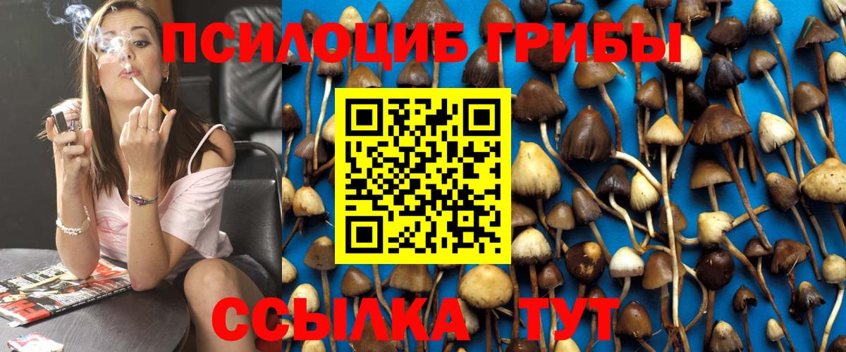 Ростов-на-Дону  Псилоцибиновые грибы Psilocybine cubensis  Вход с VPN 