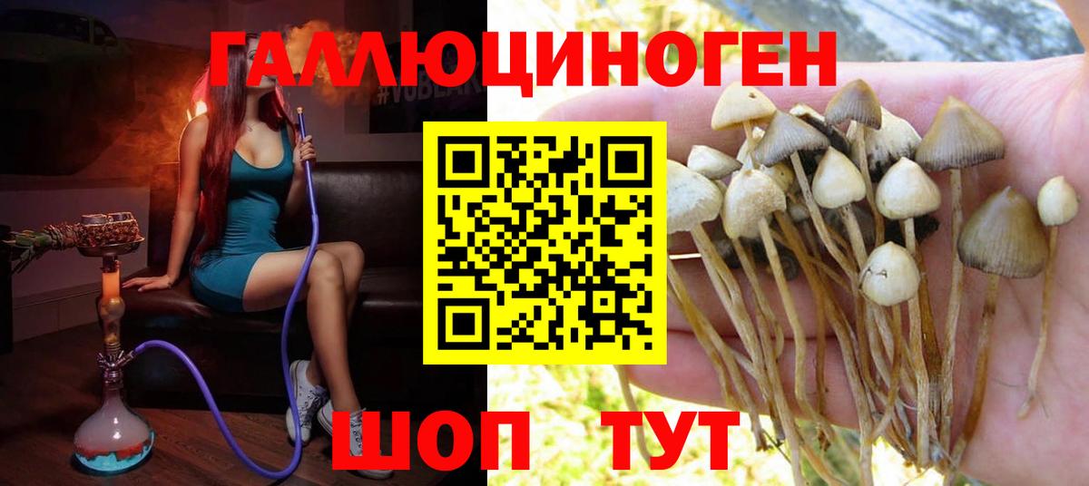 Псилоцибиновые грибы Cubensis Ростов-на-Дону